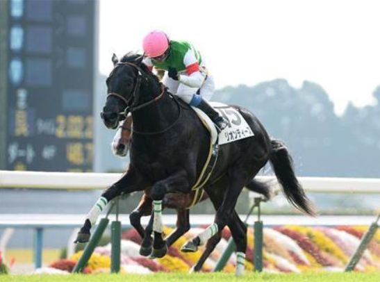 浅次郎競馬 Com 浅次郎競馬 Com